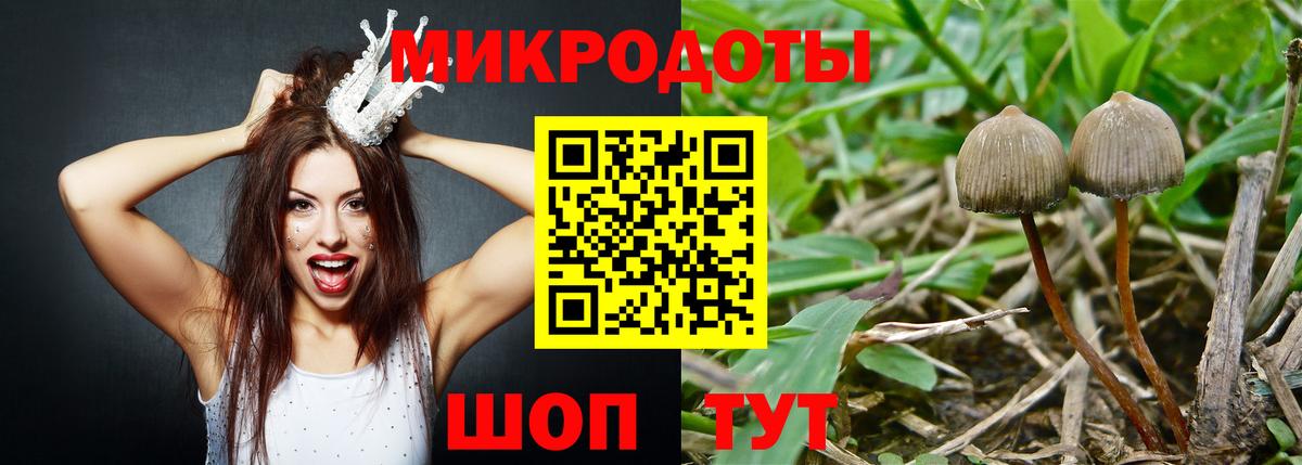 Каменск-Шахтинский  продажа наркотиков  Вход с VPN  Псилоцибиновые грибы мухоморы 